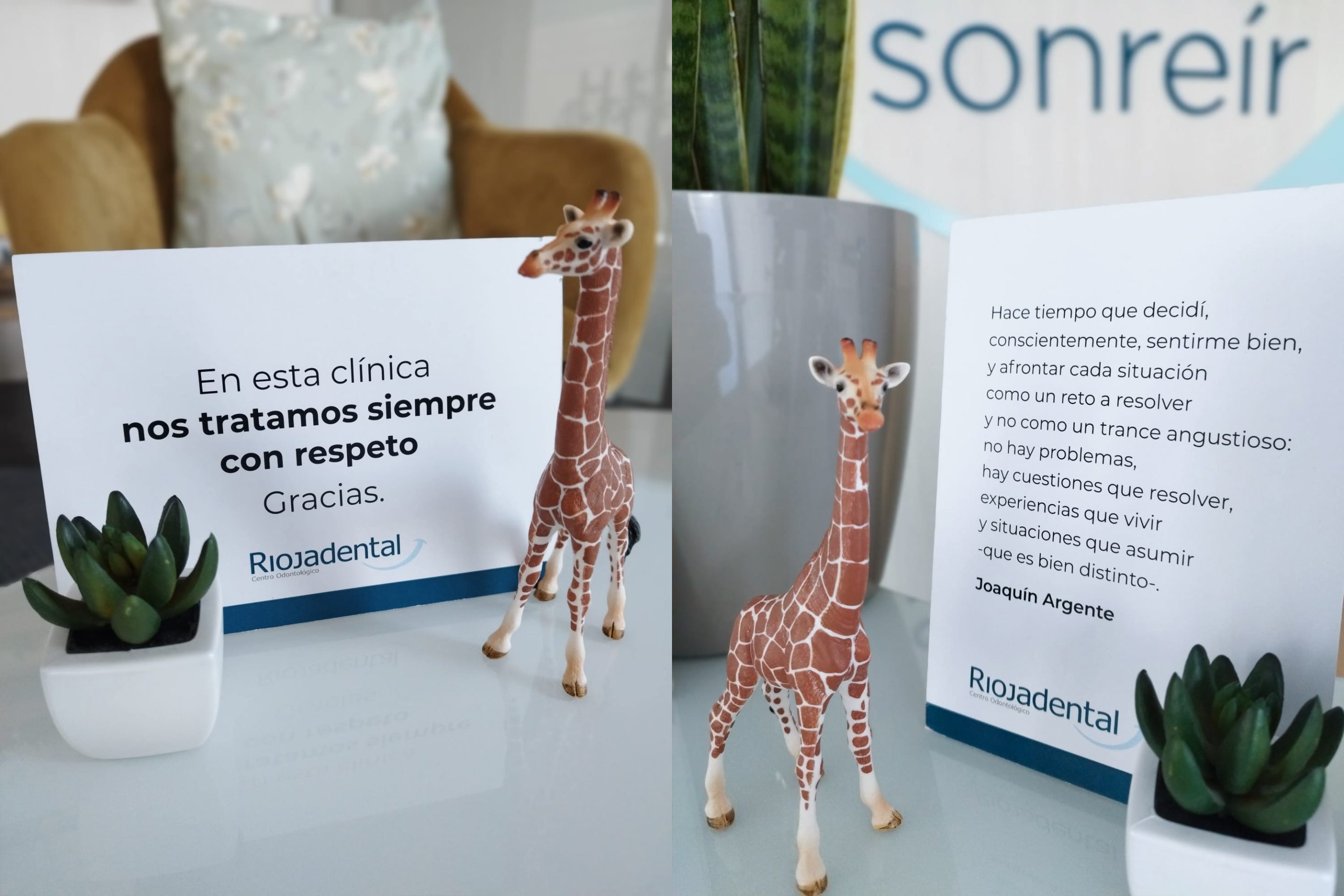 Riojadental blog jirafa programa spillover bienestar mindfullness clinica dental logroño