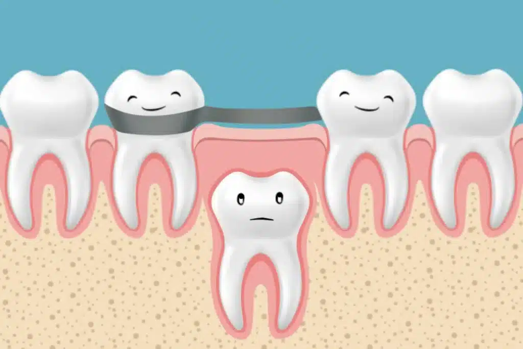 Clinica dental en logroño riojadental equipo odontopediatria en logroño